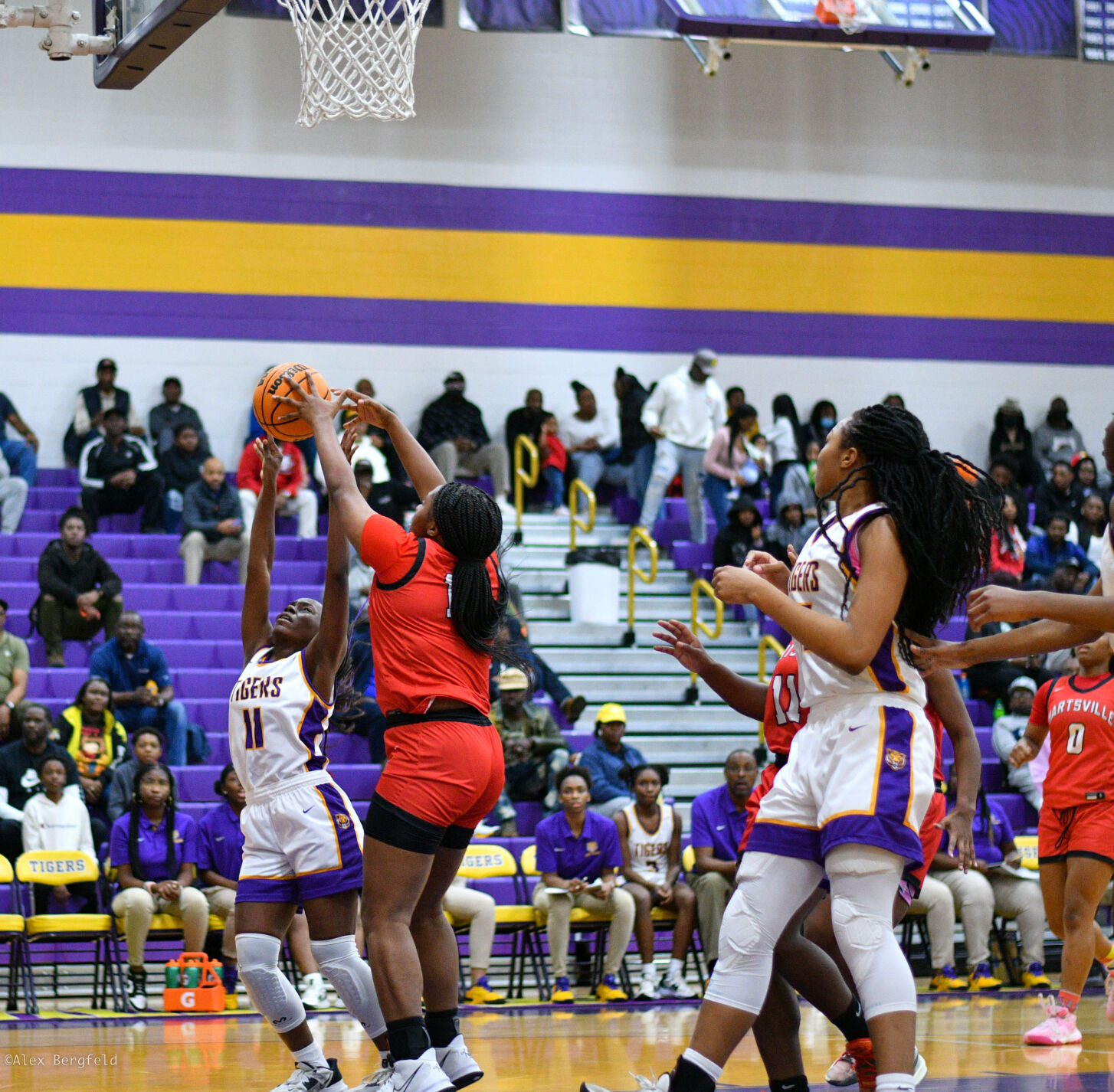 Hartsville vs. Wilson Basketball